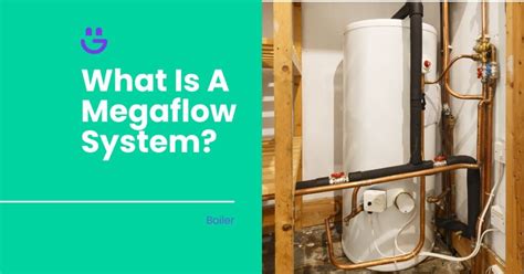 megaflow system|megaflow system how it works.